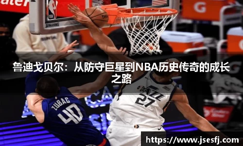 BB贝博登录入口