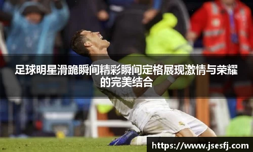 BB贝博登录入口